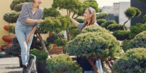 Women Working in Greenhouse with Green Trees