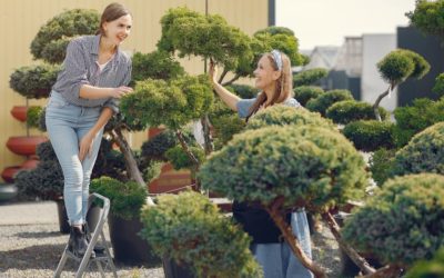 Discover the Best Things to Do in Plant City During Your Stay at Hampton Inn