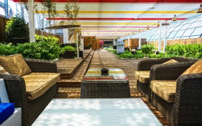 Discover Comfortable Plant City Hotel Rooms at Hampton Inn