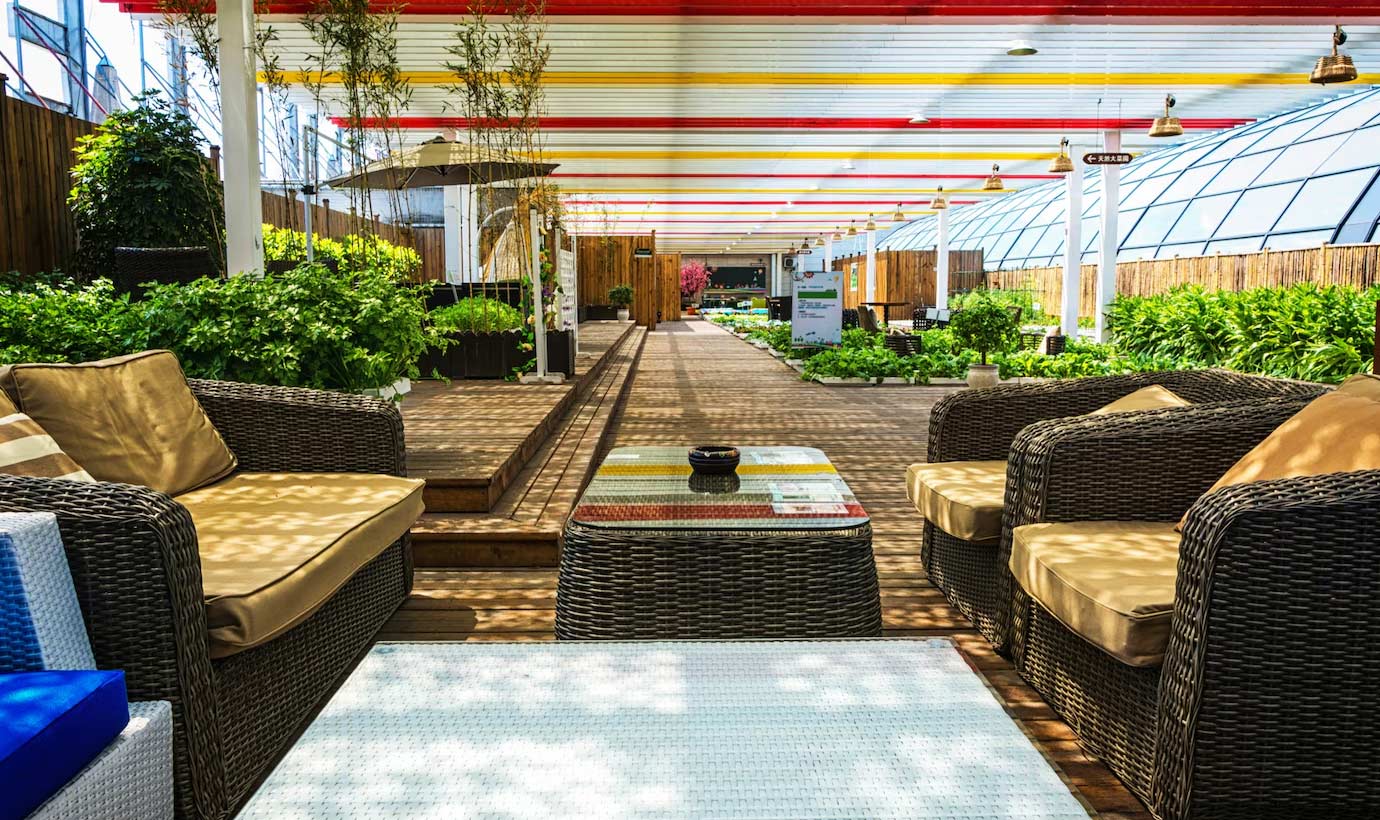 plant-hotel-room Comfortable Plant City hotel rooms with modern amenities